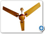 ceiling-fans-992848